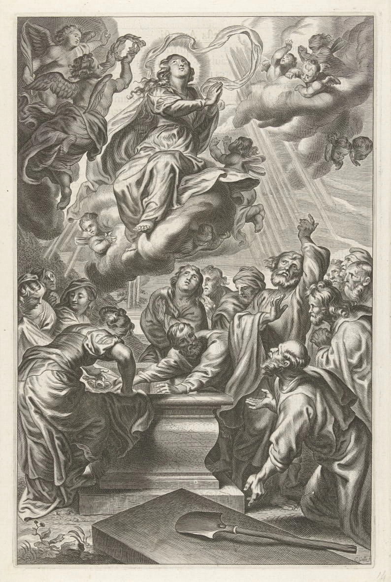 SAssunzione di Maria - Rijks Museum, Amsterdam